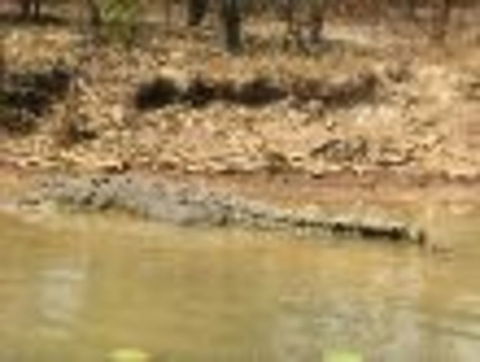 1 Day Corroboree Billabong Wetland Experience Including 2.5 Hour Cruise + Lunch - Accommodation Port Hedland 6