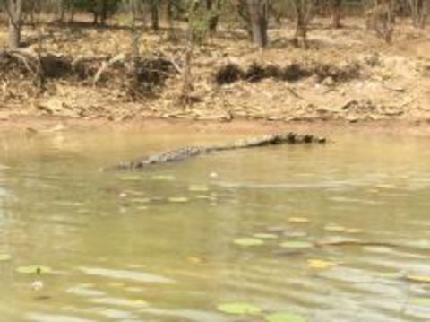 1 Day Corroboree Billabong Wetland Experience Including 2.5 Hour Cruise + Lunch - Accommodation Port Hedland 5