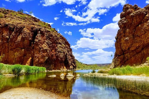 West MacDonnell Ranges Small-Group Full-Day Guided Tour - Accommodation Port Hedland 8