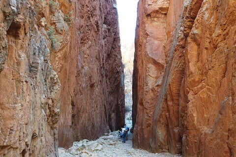 West MacDonnell Ranges Small-Group Full-Day Guided Tour - Accommodation Port Hedland 6