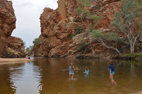 West MacDonnell Ranges Small-Group Full-Day Guided Tour - Accommodation Port Hedland 4