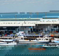 Darwin Harbour Bombing of Darwin Cruise - Accommodation Port Hedland