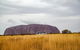 Alice Springs To Uluru (Ayers Rock) One Way Shuttle - thumb 3