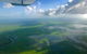 Kakadu National Park Scenic Flight & Cruise - thumb 14