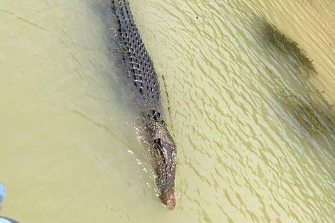 Kakadu National Park Scenic Flight & Cruise - Accommodation Port Hedland 11
