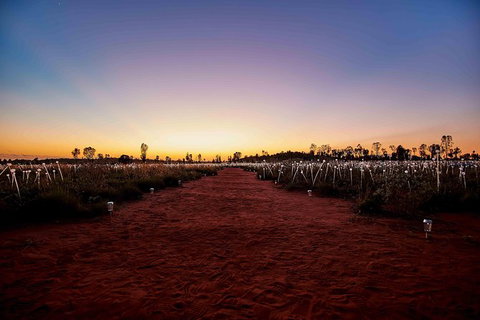 Uluru & Kata Tjuta Sights & Sounds - Accommodation Port Hedland 16