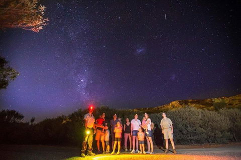 Alice Springs Desert Park Nocturnal Tour - Accommodation Port Hedland 1