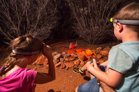Alice Springs Desert Park Nocturnal Tour - Accommodation Port Hedland 3