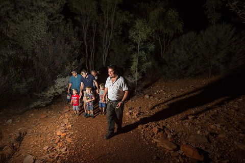 Alice Springs Desert Park Nocturnal Tour - Accommodation Port Hedland 6