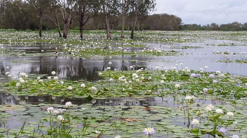 Kakadu, Nourlangie And Yellow Waters Tour From Darwin - Accommodation Port Hedland 12