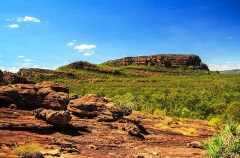 Kakadu, Nourlangie And Yellow Waters Tour From Darwin - Accommodation Port Hedland 34