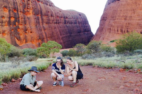 Afternoon Kata Tjuta Small Group Tour - Accommodation Port Hedland 7
