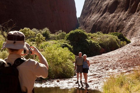 Afternoon Kata Tjuta Small Group Tour - Accommodation Port Hedland 6