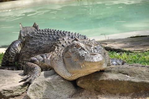 All-Inclusive Blue Mountains Tour In A Luxury Mercedes Sprinter - Accommodation Port Hedland 14