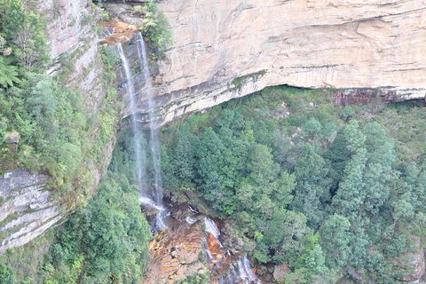 All-Inclusive Blue Mountains Tour In A Luxury Mercedes Sprinter - Accommodation Port Hedland 17