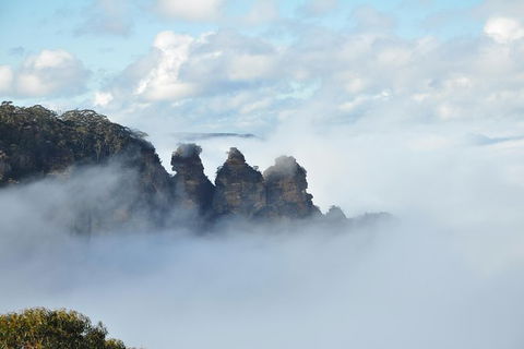 All-Inclusive Blue Mountains Tour In A Luxury Mercedes Sprinter - Accommodation Port Hedland 15