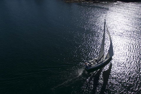 Whale Watching Sailing Experience In Sydney - Accommodation Port Hedland 10