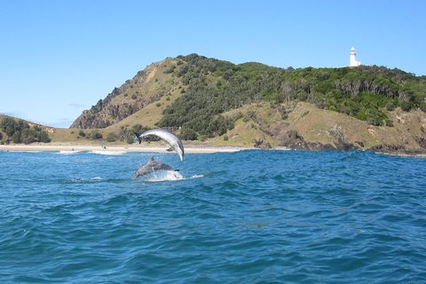 Kayaking With Dolphins In Byron Bay Guided Tour - Accommodation Port Hedland 1