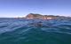 Kayaking With Dolphins In Byron Bay Guided Tour - thumb 5
