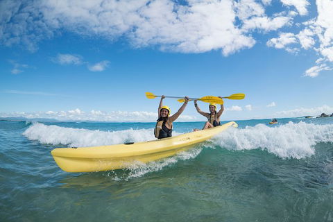 Kayaking With Dolphins In Byron Bay Guided Tour - Accommodation Port Hedland 16