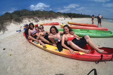 Kayaking With Dolphins In Byron Bay Guided Tour - Accommodation Port Hedland 6