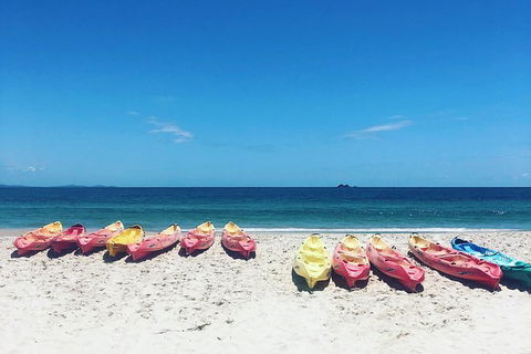 Kayaking With Dolphins In Byron Bay Guided Tour - Accommodation Port Hedland 20