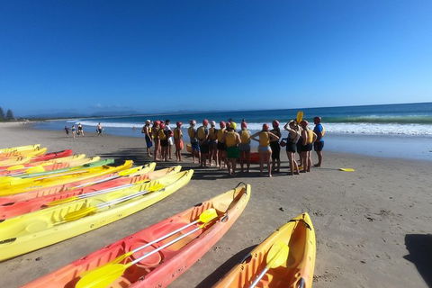 Kayaking With Dolphins In Byron Bay Guided Tour - Accommodation Port Hedland 17