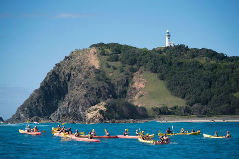 Kayaking With Dolphins In Byron Bay Guided Tour - Accommodation Port Hedland 2