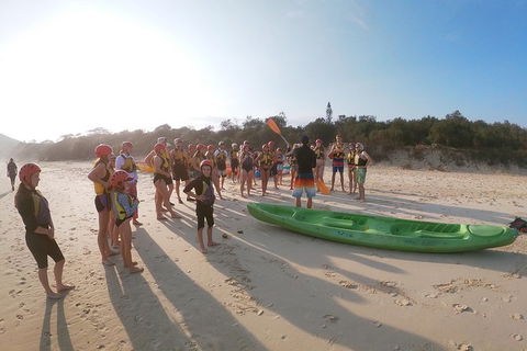 Kayaking With Dolphins In Byron Bay Guided Tour - Accommodation Port Hedland 11