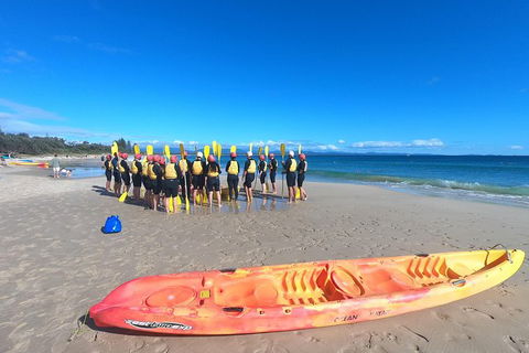Kayaking With Dolphins In Byron Bay Guided Tour - Accommodation Port Hedland 3