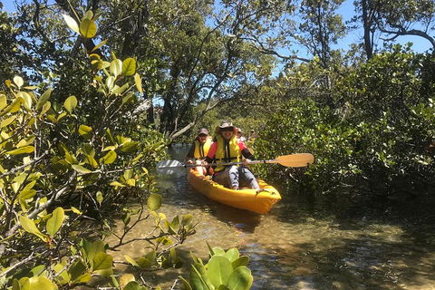 Paddle In Paradise - 4 Hours Double Kayak Hire - Accommodation Port Hedland 5