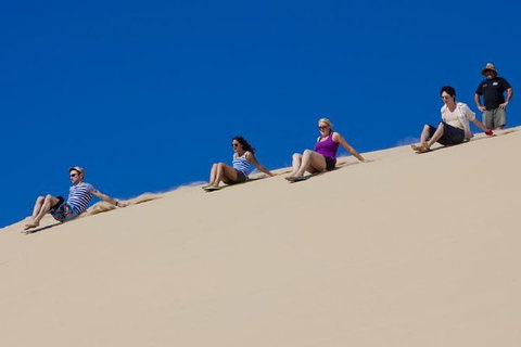 Port Stephens Day Tour From Sydney Including 4WD, Sandboarding And Dolphins - Accommodation Port Hedland 1