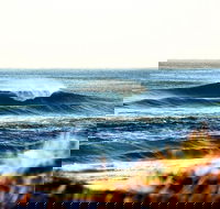 7-Day Byron Bay Evans Head and Moonee Beach Surf Safari from Brisbane Gold Coast or Byron Bay - Accommodation Port Hedland