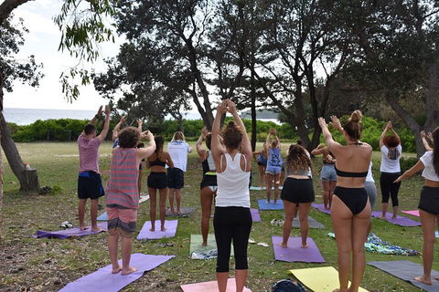 7-Day Byron Bay, Evans Head And Moonee Beach Surf Safari From Brisbane, Gold Coast Or Byron Bay - Accommodation Port Hedland 3