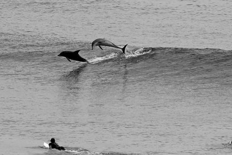 7-Day Byron Bay, Evans Head And Moonee Beach Surf Safari From Brisbane, Gold Coast Or Byron Bay - Accommodation Port Hedland 6