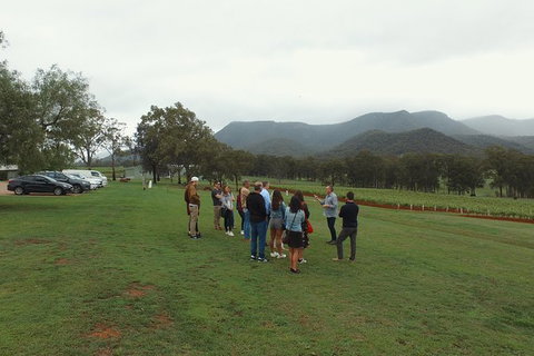 Hunter Valley Private Tour Including Wine, Chocolate, Cheese, Vodka, Gin Tasting - Accommodation Port Hedland 10