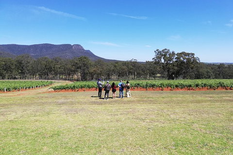 Hunter Valley Private Tour Including Wine, Chocolate, Cheese, Vodka, Gin Tasting - Accommodation Port Hedland 4