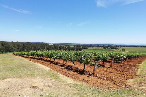 Hunter Valley Private Tour Including Wine, Chocolate, Cheese, Vodka, Gin Tasting - Accommodation Port Hedland 16