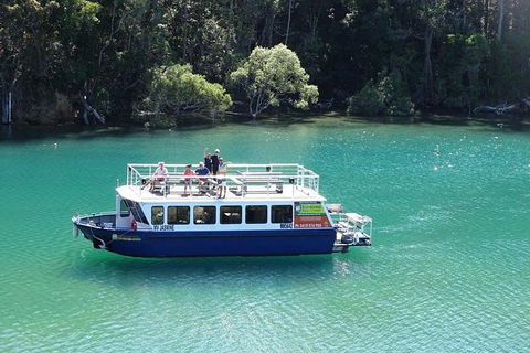 Brunswick Heads Rainforest Eco-Cruise - Accommodation Port Hedland 0