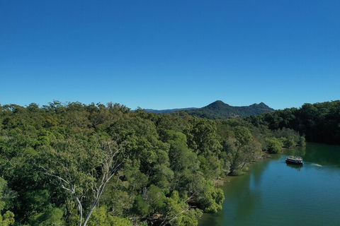 Brunswick Heads Rainforest Eco-Cruise - Accommodation Port Hedland 6