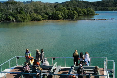 Brunswick Heads Rainforest Eco-Cruise - Accommodation Port Hedland 8