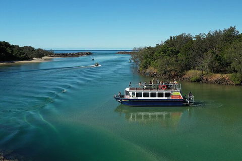 Brunswick Heads Rainforest Eco-Cruise - Accommodation Port Hedland 2