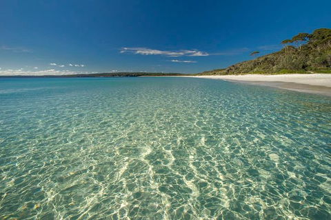 Jervis Bay South Coast Day Trip From Sydney - Cycling - Accommodation Port Hedland 0