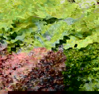 Apple Tree Creek - Accommodation Port Hedland