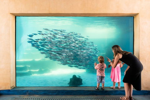 AQWA The Aquarium Of Western Australia - Accommodation Port Hedland 0