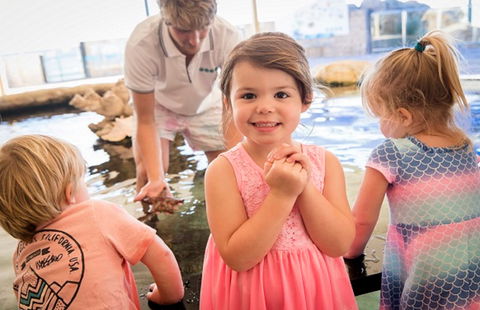 AQWA The Aquarium Of Western Australia - Accommodation Port Hedland 2