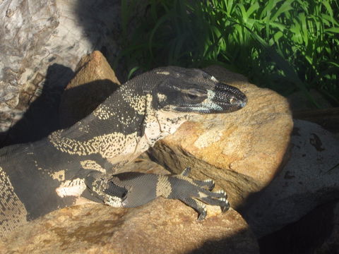 Armadale Reptile Centre - Accommodation Port Hedland 0