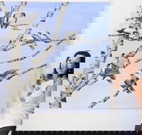 Bingara Gallery - Accommodation Port Hedland