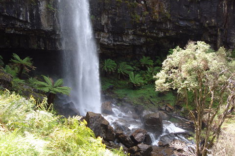 Bindaree Falls - Accommodation Port Hedland 1