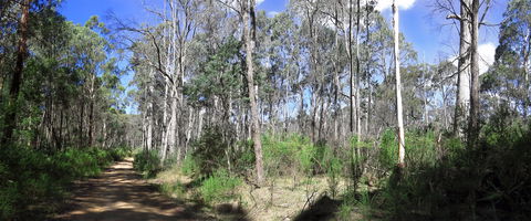 Blue Range Camping And Picnic Area - Accommodation Port Hedland 1